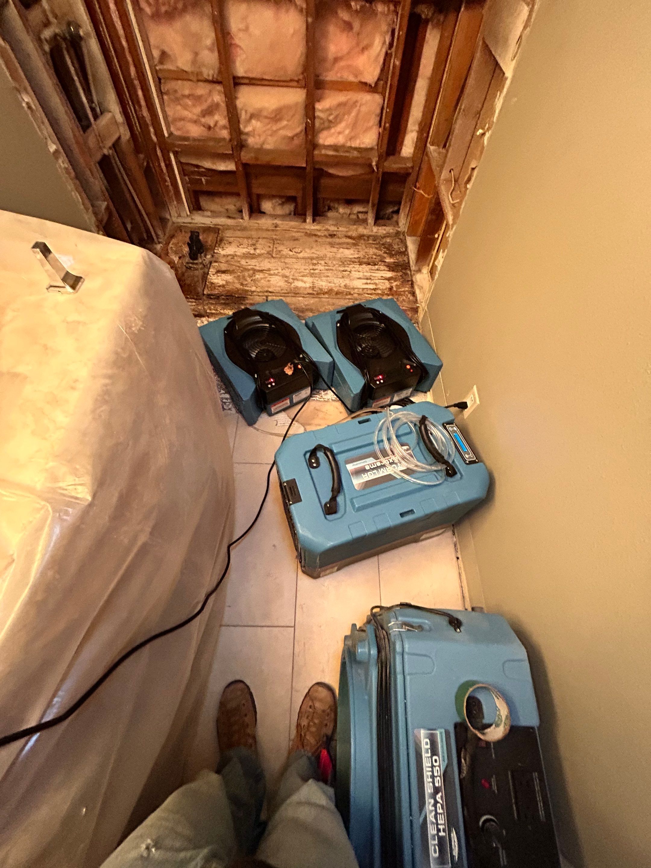 Professional water damage restoration in Paradise