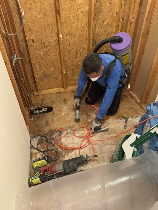 Bangor restoration work 1