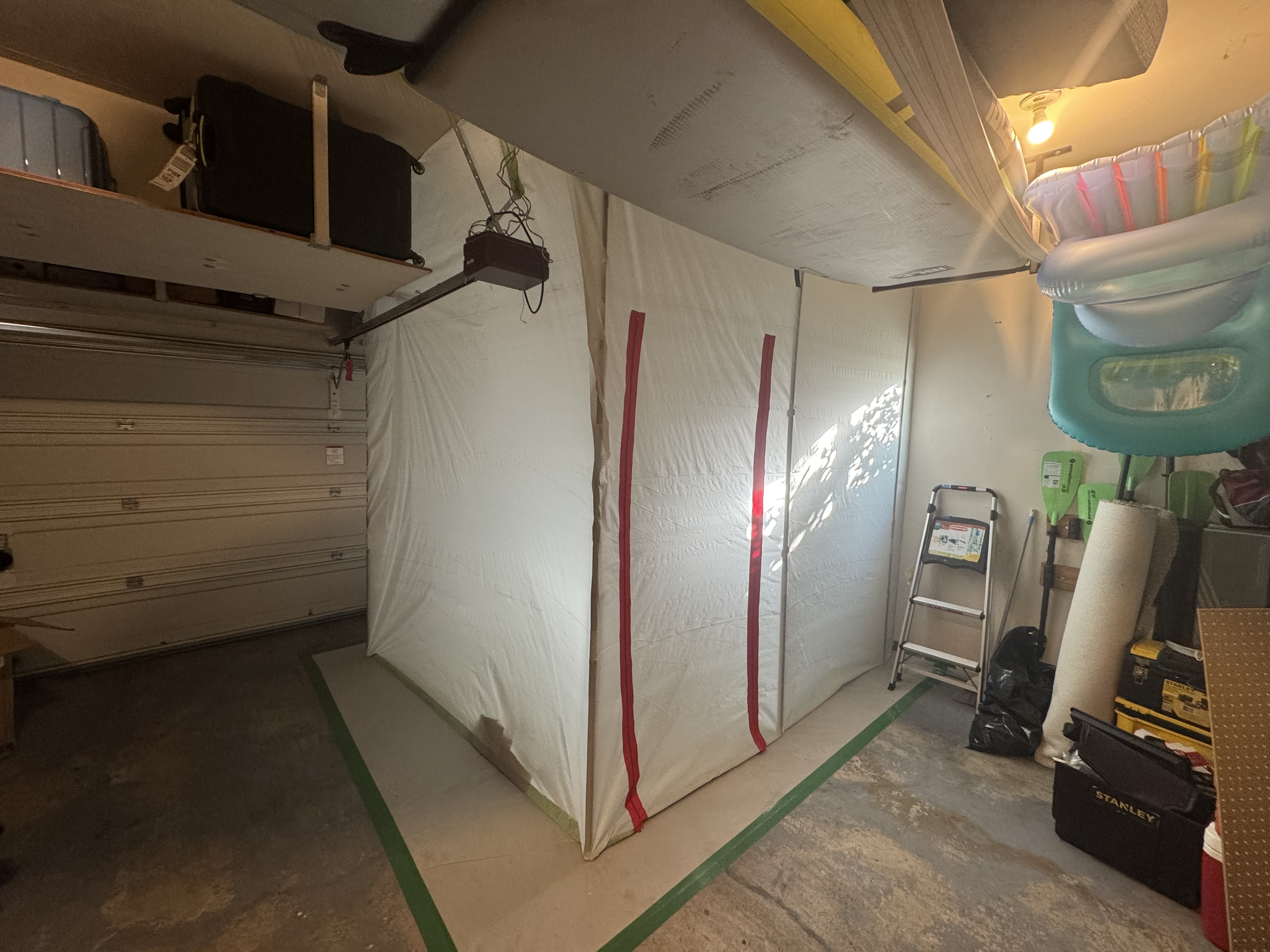 Mold remediation services